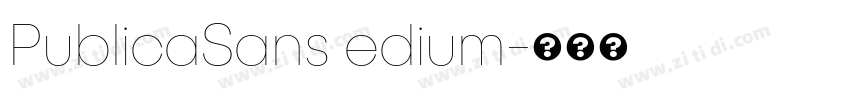 PublicaSans edium字体转换